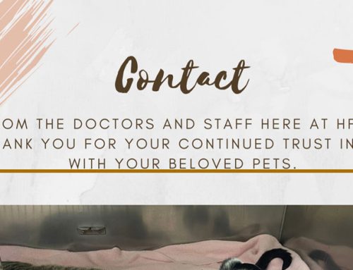 Contact