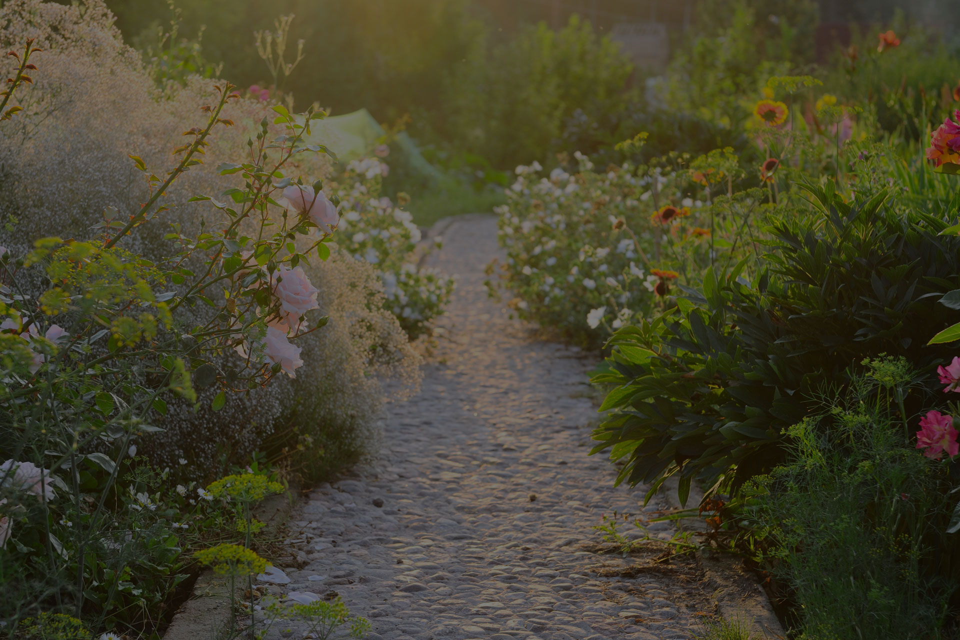 road in the beautiful garden